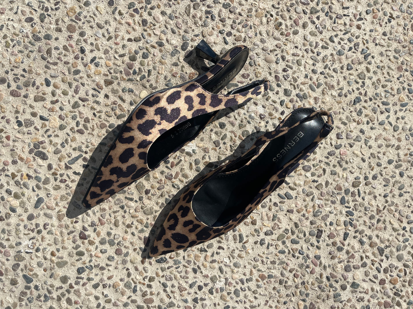 ZAPATILLAS KITTEN PARDO