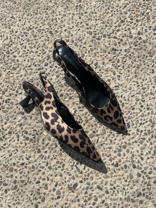 ZAPATILLAS KITTEN PARDO