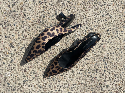 ZAPATILLAS KITTEN PARDO