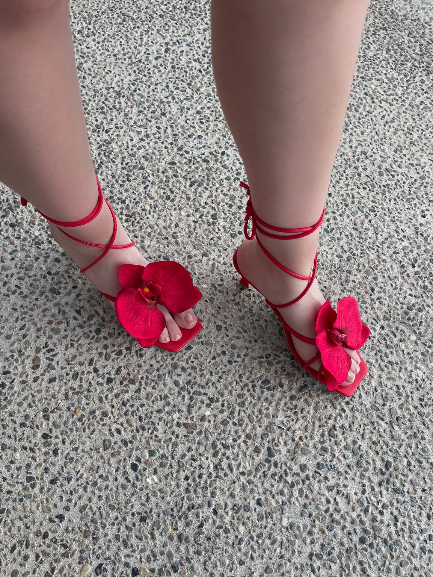 ZAPATILLA ORQUÍDEA ROJO